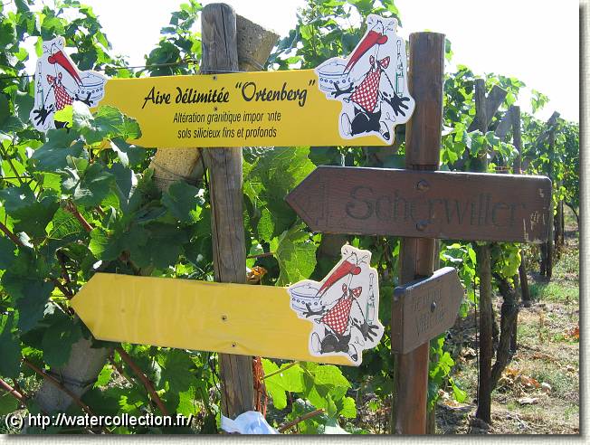 Diapositive suivante